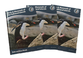 Birds and Mammals of the Falkland Islands