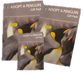 Adopt a Penguin pack