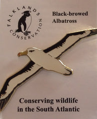 Conservation Pins