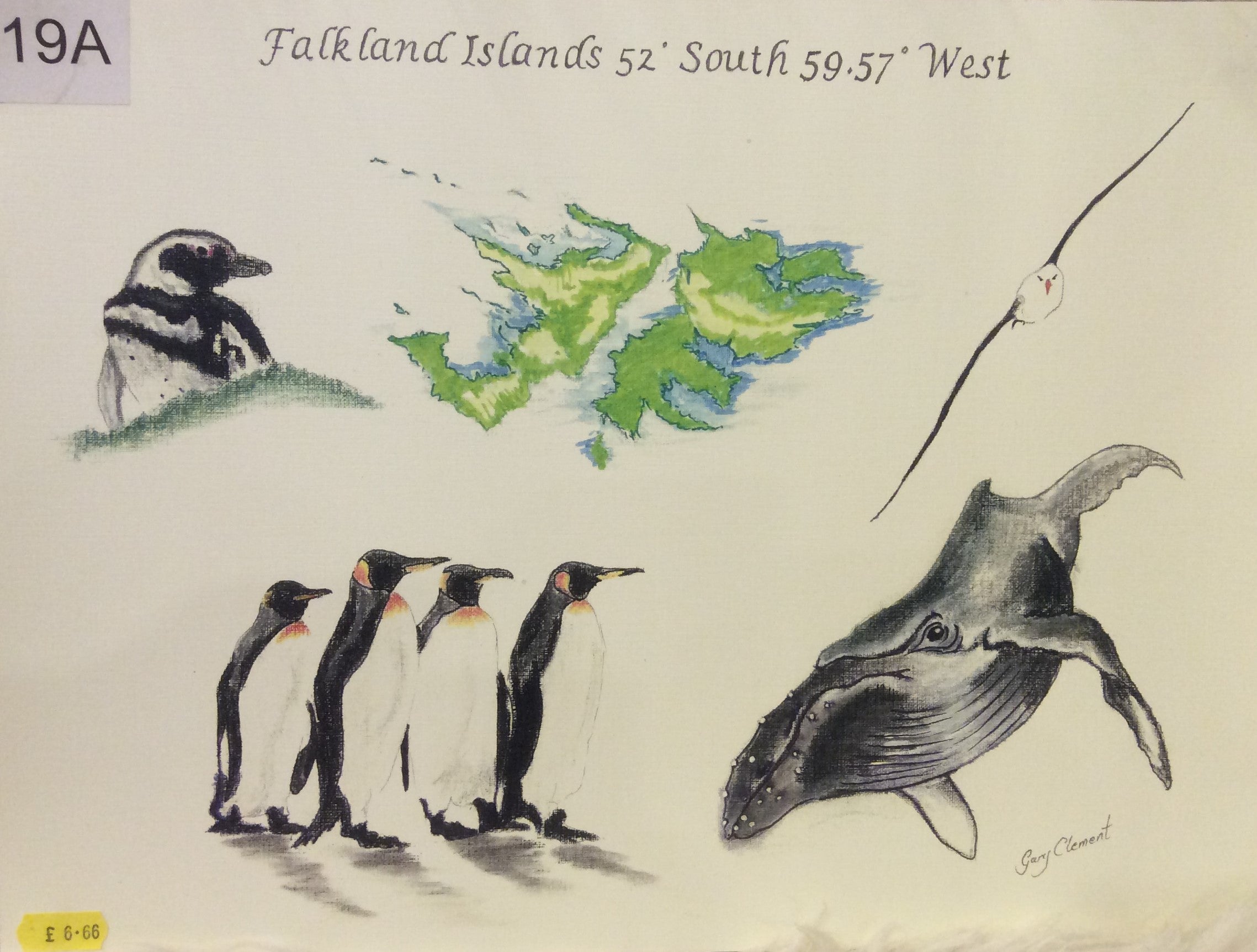 Falkland Island Print by Gary Clement